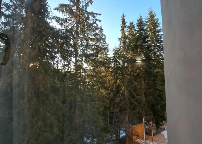 василенаапарт Apartment Pamporovo